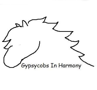 Gypsy Cobs In Harmony